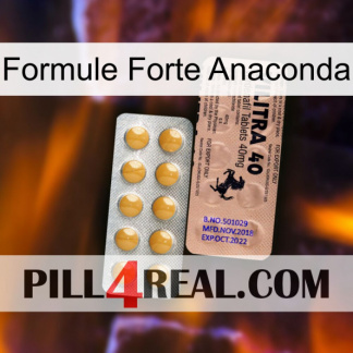 Anaconda Strong Formula 41